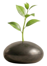 sec3_icon2_plant